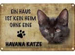 Vianmo Insegna Di Latta 20X30 Cm Havana Katze Ohne Kein Heim