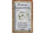 Vianmo Insegna Di Latta 30X20 Cm Britische Langhaarkatze