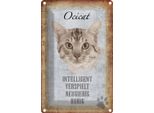 Vianmo Insegna Di Latta 30X20 Cm Ocicat Katze Verspielt
