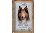 Vianmo Insegna Di Latta 30X20 Cm Collie Hund Freundlich