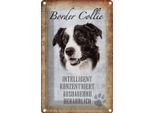 Vianmo Insegna Di Latta 18X12 Cm Border Collie Hund