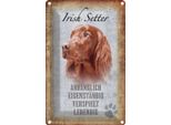 Vianmo Insegna Di Latta 18X12 Cm Irish Setter Hund