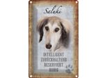 Vianmo Insegna Di Latta 18X12 Cm Saluki Hund Ruhig