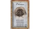 Vianmo Insegna Di Latta 30X20 Cm Pekinese Hund