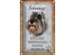 Vianmo Insegna Di Latta 30X20 Cm Schnauzer Hund