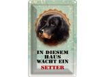 Vianmo Insegna Di Latta 30X20 Cm Hund In Diesem Haus Wacht Ein Setter