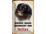 Vianmo Insegna Di Latta 30X20 Cm Hund Dieses Haus Bewacht Ein Setter