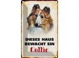 Vianmo Insegna Di Latta 30X20 Cm Hund Dieses Haus Bewacht Ein Collie