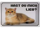 Vianmo Insegna Di Latta 20X30 Cm Katze Hast Du Mich Lieb?