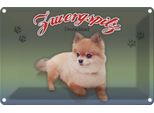 Vianmo Insegna Di Latta 20X30 Cm Hund Zwergspitz Deutschland