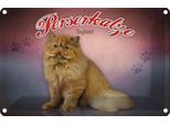 Vianmo Insegna Di Latta 20X30 Cm Katze Perserkatze England