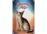 Vianmo Insegna Di Latta 30X20 Cm Katze Abessinier Katze