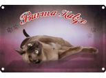 Vianmo Insegna Di Latta 20X30 Cm Katze Burma Katze