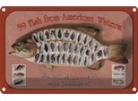 Vianmo Insegna Di Latta 20X30 Cm Fisch 39 Fish From American Waters