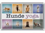 Vianmo Insegna Di Latta 20X30 Cm Katze Hunde Yoga