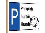 Vianmo Insegna In Legno 12X18 Cm Parkplatz Nur FüR Hunde