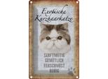Vianmo Insegna Di Latta 30X20 Cm Exotische Kurzhaarkatze Katze