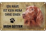 Vianmo Insegna Di Latta 20X30 Cm Irish Setter Hund