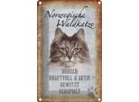 Vianmo Insegna Di Latta 30X20 Cm Norvegische Waldkatze Katze Wanddeco
