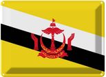 Vianmo Insegna Di Latta 30X40 Cm Bandiera Bruneis Flag Of Brunei
