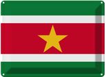 Vianmo Insegna Di Latta 30X40 Cm Bandiera Surinames Flag Of Suriname