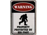 Vianmo Insegna Di Latta 40X30 Cm Warning Property Protected By