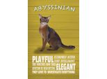 Vianmo Insegna In Legno 30X20 Cm Abyssinian Katze Playful Elegant