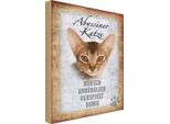 Vianmo Insegna In Legno 30X20 Cm Abyssiner Katze HüBsch Verspielt