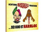 Vianmo Insegna In Legno 12X18 Cm Achtung Bissiges Frauchen Hund