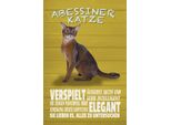 Vianmo Insegna In Legno 30X20 Cm Abyssinian Katze Verspielt