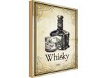 Vianmo Insegna In Legno 30X20 Cm Alkohol 1866 Whisky