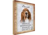 Vianmo Insegna In Legno 18X12 Cm Bassett Hund