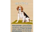 Vianmo Insegna In Legno 30X20 Cm Beagle Hund GutmüTig Liebt Jeden