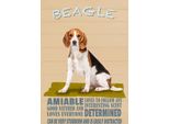 Vianmo Insegna In Legno 30X20 Cm Beagle Hund Loves To Follow Any