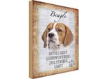Vianmo Insegna In Legno 30X20 Cm Beagle Hund