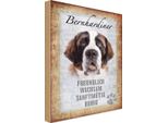 Vianmo Insegna In Legno 30X20 Cm Bernhardiner Hund