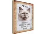 Vianmo Insegna In Legno 18X12 Cm Birma Katze Klug