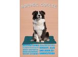 Vianmo Insegna In Legno 30X20 Cm Border Collie Hund Intelligent
