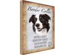 Vianmo Insegna In Legno 18X12 Cm Border Collie Hund
