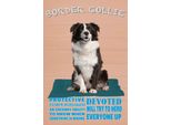 Vianmo Insegna In Legno 18X12 Cm Border Collie Hund Protective