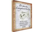 Vianmo Insegna In Legno 30X20 Cm Britische Langhaarkatze