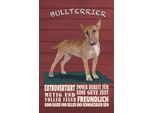 Vianmo Insegna In Legno 30X20 Cm Bullterrier Hund Immer Bereit