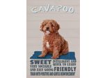 Vianmo Insegna In Legno 30X20 Cm Cavapoo Hund Sweet Friendly