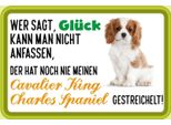 Vianmo Insegna In Legno 20X30 Cm Cavalier King Charles Spaniel