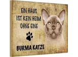 Vianmo Insegna In Legno 12X18 Cm Burma Katze Ohne Kein Heim