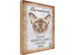 Vianmo Insegna In Legno 30X20 Cm Burmakatze Katze