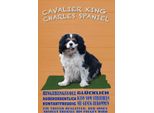 Vianmo Insegna In Legno 30X20 Cm Cavalier King Charles Spaniel