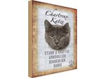 Vianmo Insegna In Legno 30X20 Cm Chartreux Katze Stark