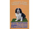 Vianmo Insegna In Legno 18X12 Cm Cavalier King Charles Spaniel