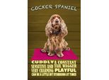 Vianmo Insegna In Legno 18X12 Cm Cocker Spaniel Hund Cuddly